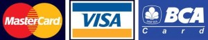 logo master visa